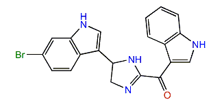 Spongotine A